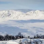 In The Heart Of Geilo, Walk To Everything *