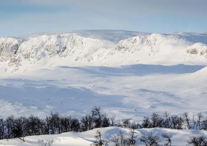 In The Heart Of Geilo, Walk To Everything *